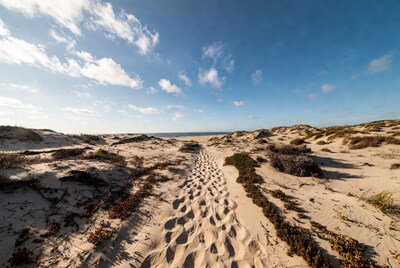 Footprints path on sandy beach dunes
