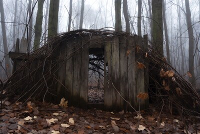 Rustic twig hut in foggy forest