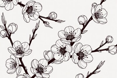 Line Art Apricot Blossoms on Branches