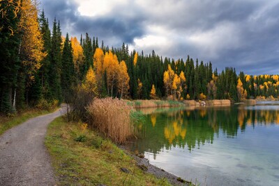 Autumn Forest Path by Lake