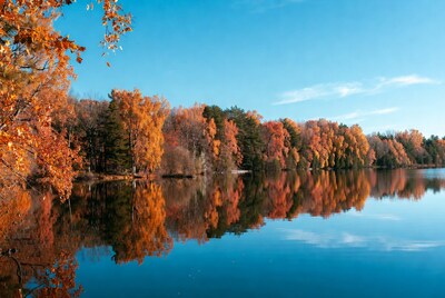 Autumn Trees Reflecting in Lake