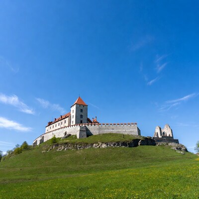 Medieval Castle on Green Hill