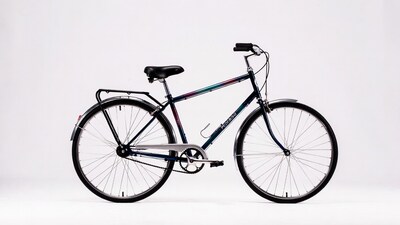Peders Iridescent City Bike