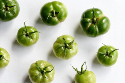 Fresh Green Tomatoes on White Background