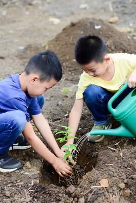 Asian boys planting watering seedling