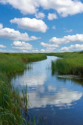 Winding river through green reeds under blue sky