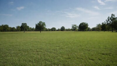 Vast green field with scattered trees
