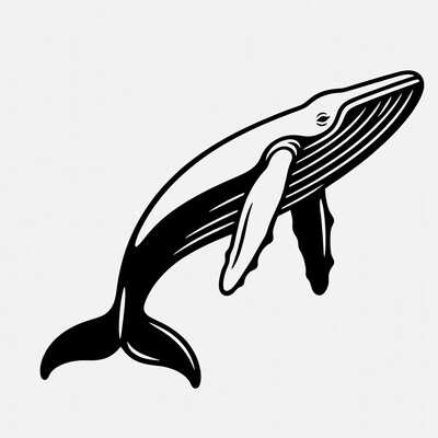 Humpback whale illustration