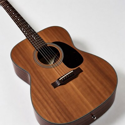 Acoustic Guitar on White Background