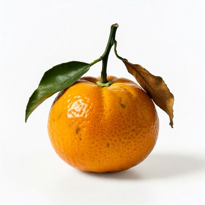 Mandarin Orange with Leaves