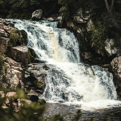 Cascading Waterfall in Forest