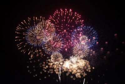 Colorful Fireworks Exploding in Night Sky