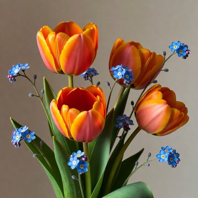 Orange Tulips with Blue Forget-Me-Nots
