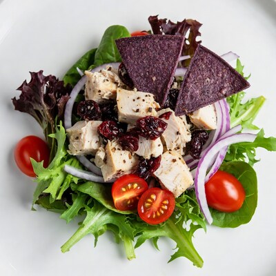 Chicken Salad with Cranberries and Tortilla Chips