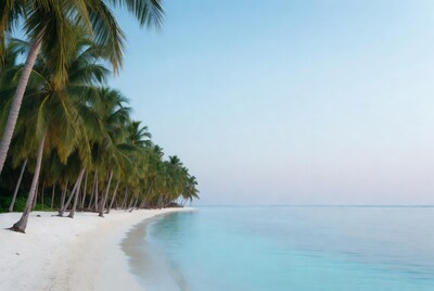 Palm trees lining white sand beach