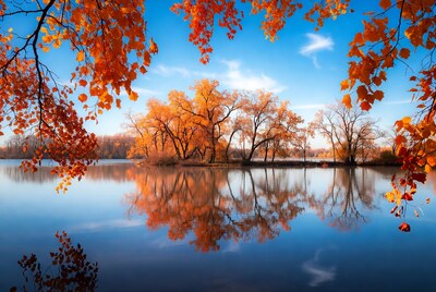 Autumn Trees Reflected in Lake