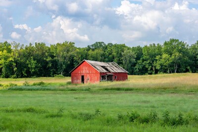 Red Barn in Grassy Field