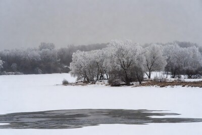 Frost-covered trees by frozen lake