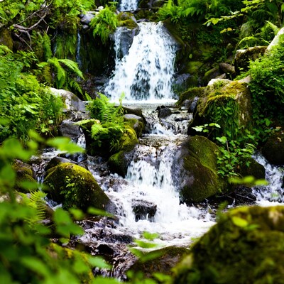 Waterfall cascading over mossy rocks