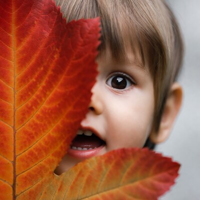 Baby peeking through red autumn leaf
