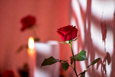 Red Rose with Candle