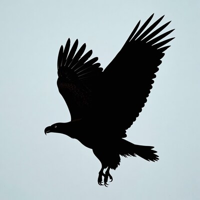 Flying Eagle Silhouette