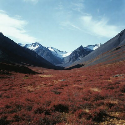 Red Tundra Valley with Snowy Mountains