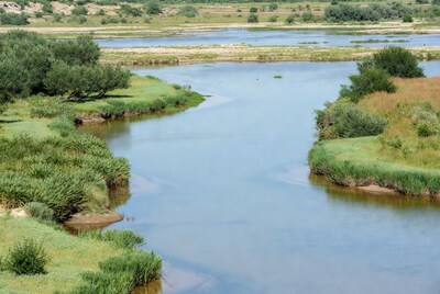Winding River Through Green Wetlands