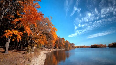 Autumn Trees by Lakeshore