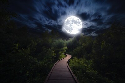 Full Moon Over Forest Boardwalk Path