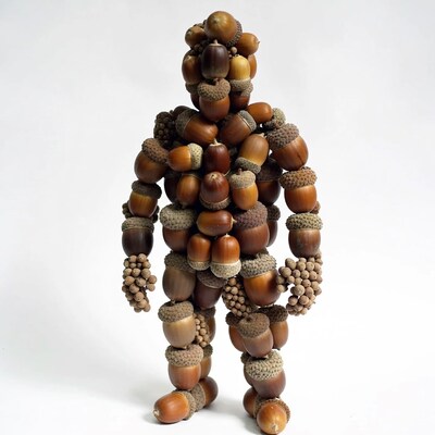 Acorn Figure on White Background