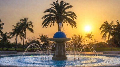 Fountain with palms at sunset