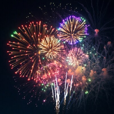 Colorful Fireworks Exploding in Night Sky