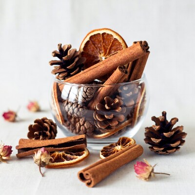 Cinnamon Sticks Pine Cones Oranges in Glass Bowl