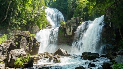 Majestic waterfall cascading in lush forest