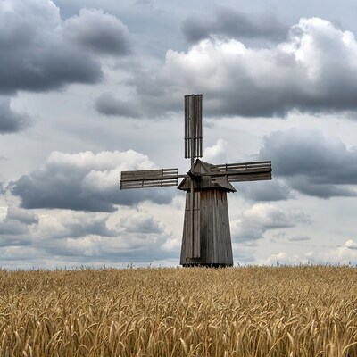 Windmill in wheat field under clouds