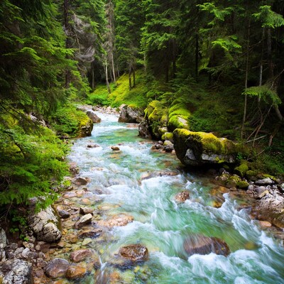 Turquoise River Flowing Through Forest