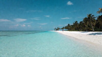 Tropical beach with turquoise water and palms