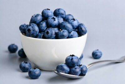 Blueberries in white bowl with spoon