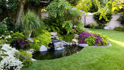 Garden pond with waterfall and flowers