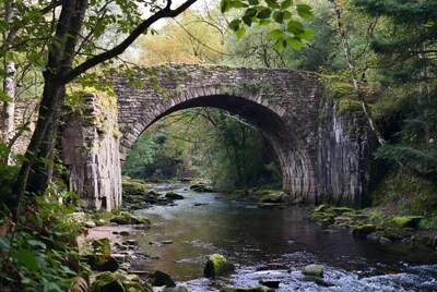 Stone Arch Bridge over Forest River