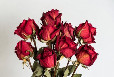 Bouquet of Dried Red Roses