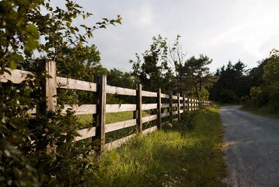 Wooden fence along rural road