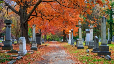 Autumn Path in Historic Cemetery