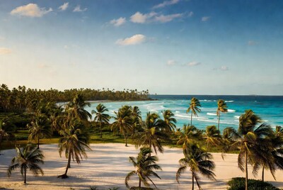 Tropical Beach with Palm Trees and Turquoise Ocean