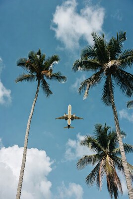 Airplane flying between palm trees