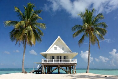 White stilt house between palm trees on beach