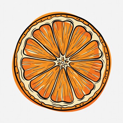 Sliced Orange Illustration
