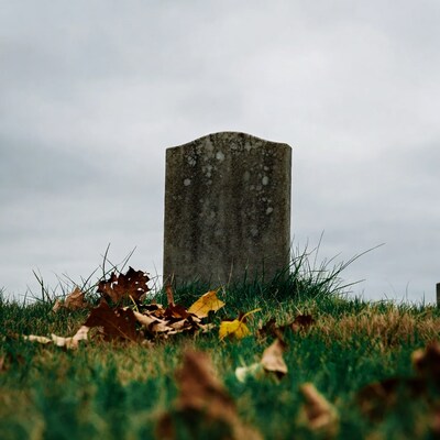 Mossy gravestone with autumn leaves