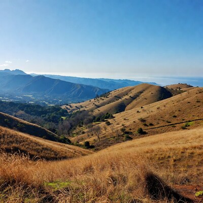 Golden Hills and Mountains Landscape